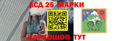 ешки Сланцы