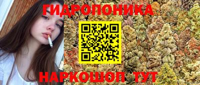 ешки Сланцы